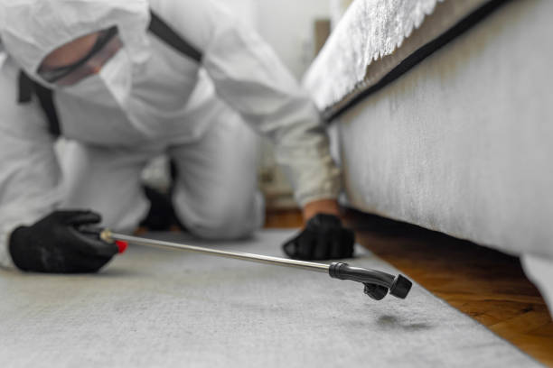 Professional Termite Control technician working in Box Elder County County, UT